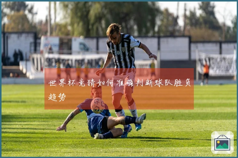世界杯竞猜如何准确判断球队胜负趋势