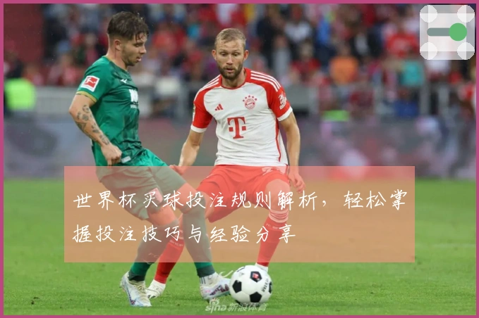 世界杯买球投注规则解析，轻松掌握投注技巧与经验分享