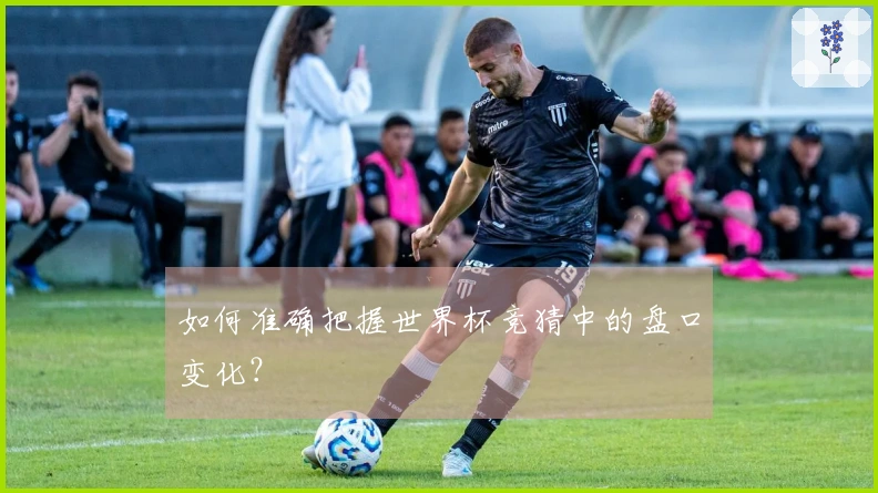 如何准确把握世界杯竞猜中的盘口变化？