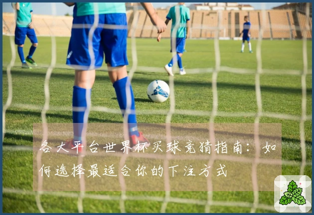 各大平台世界杯买球竞猜指南：如何选择最适合你的下注方式