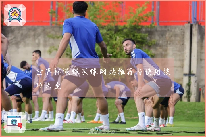 世界杯滚球买球网站推荐与使用技巧大全