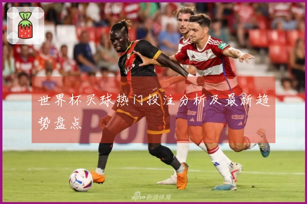 世界杯买球热门投注分析及最新趋势盘点