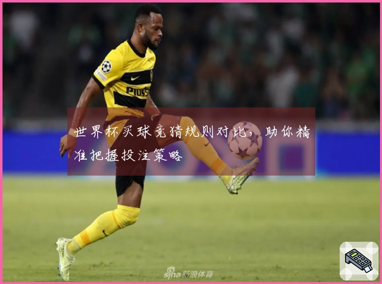 世界杯买球竞猜规则对比，助你精准把握投注策略