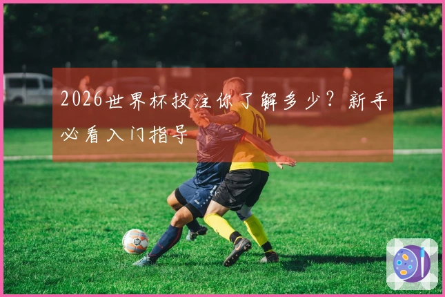 2026世界杯投注你了解多少？新手必看入门指导