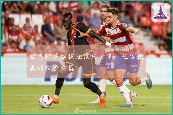 世界杯滚球投注技巧分享，让你稳赢的秘密武器