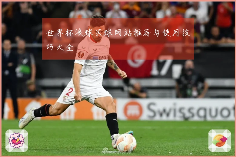 世界杯滚球买球网站推荐与使用技巧大全