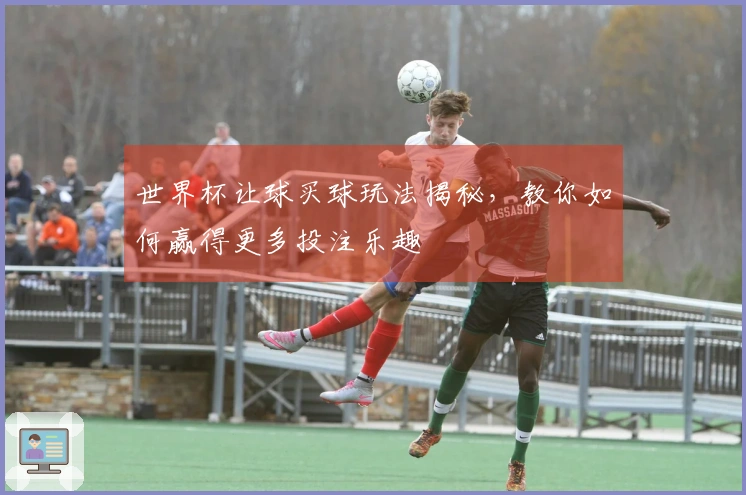 世界杯让球买球玩法揭秘，教你如何赢得更多投注乐趣