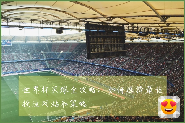 世界杯买球全攻略：如何选择最佳投注网站和策略