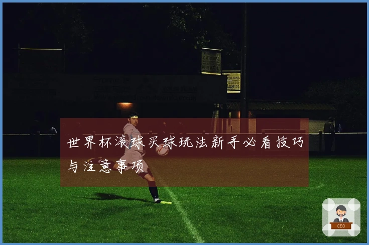 世界杯滚球买球玩法新手必看技巧与注意事项