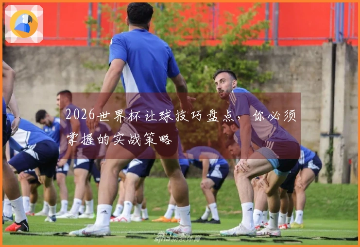 2026世界杯让球技巧盘点，你必须掌握的实战策略