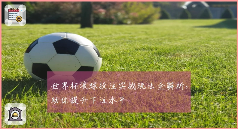 世界杯滚球投注实战玩法全解析，助你提升下注水平