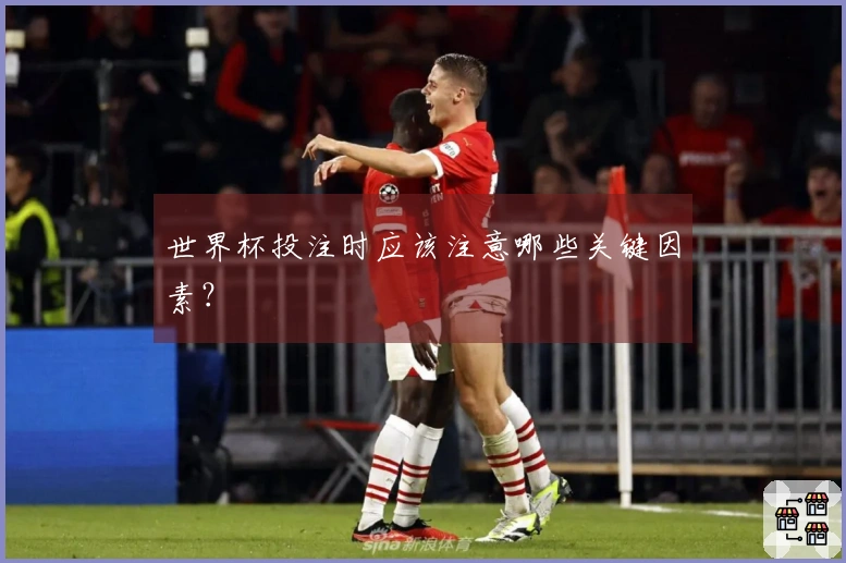 世界杯投注时应该注意哪些关键因素？