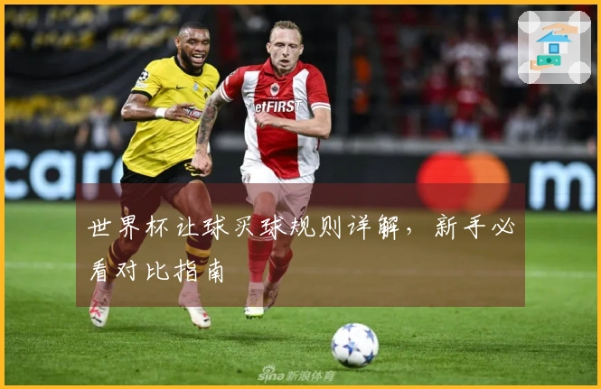 世界杯让球买球规则详解，新手必看对比指南