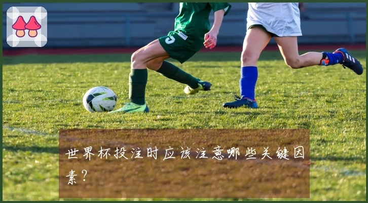 世界杯投注时应该注意哪些关键因素？
