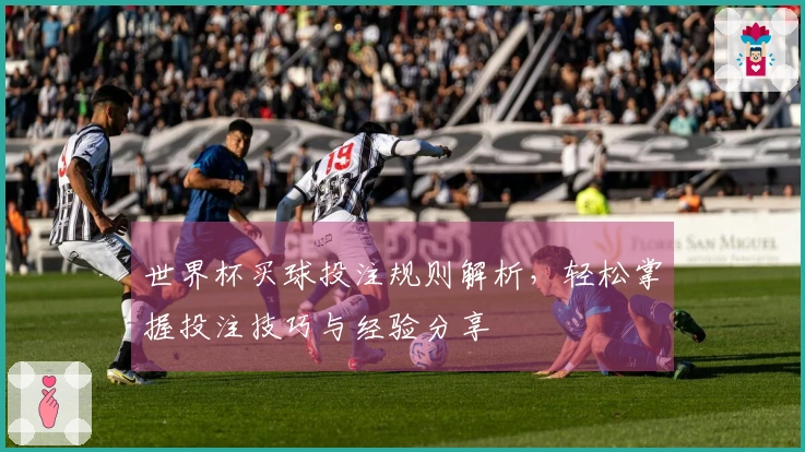 世界杯买球投注规则解析，轻松掌握投注技巧与经验分享