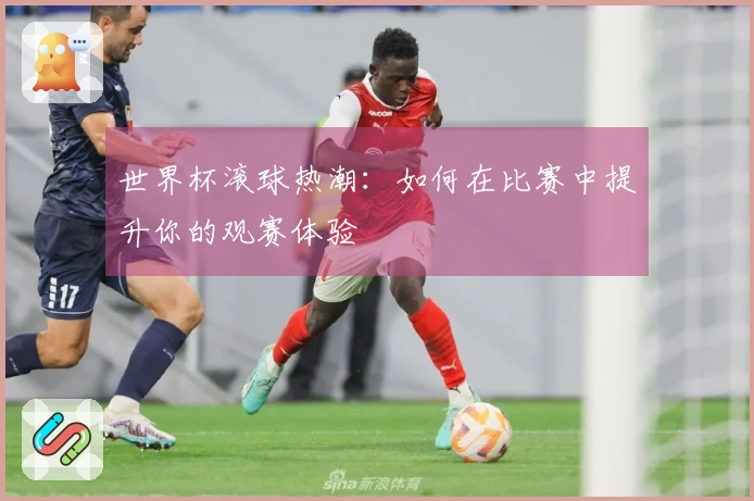 世界杯滚球热潮：如何在比赛中提升你的观赛体验