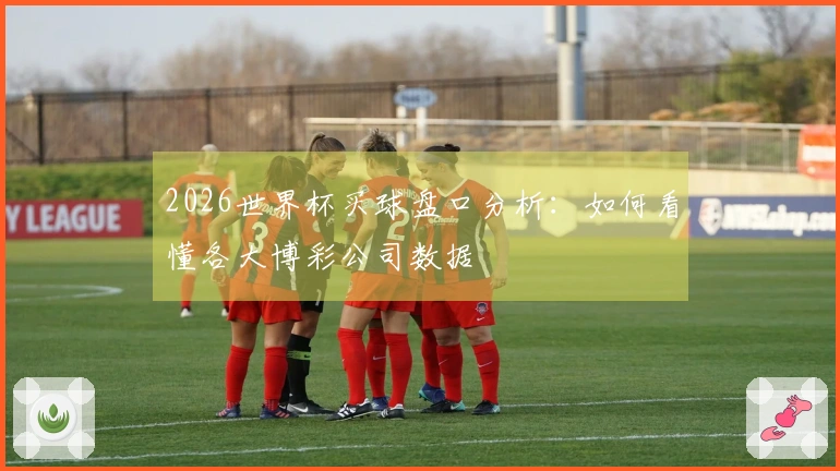 2026世界杯买球盘口分析：如何看懂各大博彩公司数据