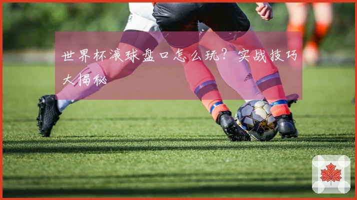 世界杯滚球盘口怎么玩？实战技巧大揭秘