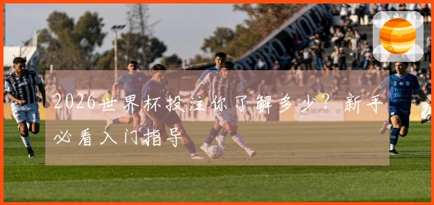 2026世界杯投注你了解多少？新手必看入门指导