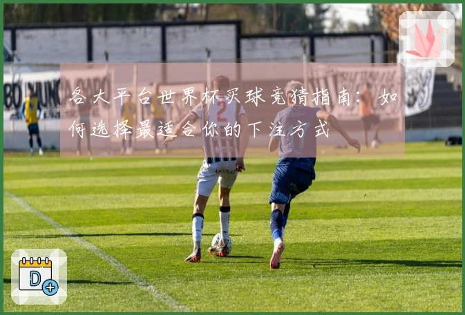 各大平台世界杯买球竞猜指南：如何选择最适合你的下注方式